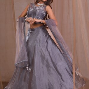 gorgeous stone embellished tissue lehenga
