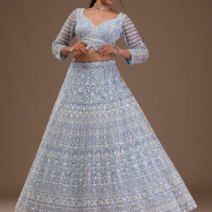 elegant sky blue lehenga choli